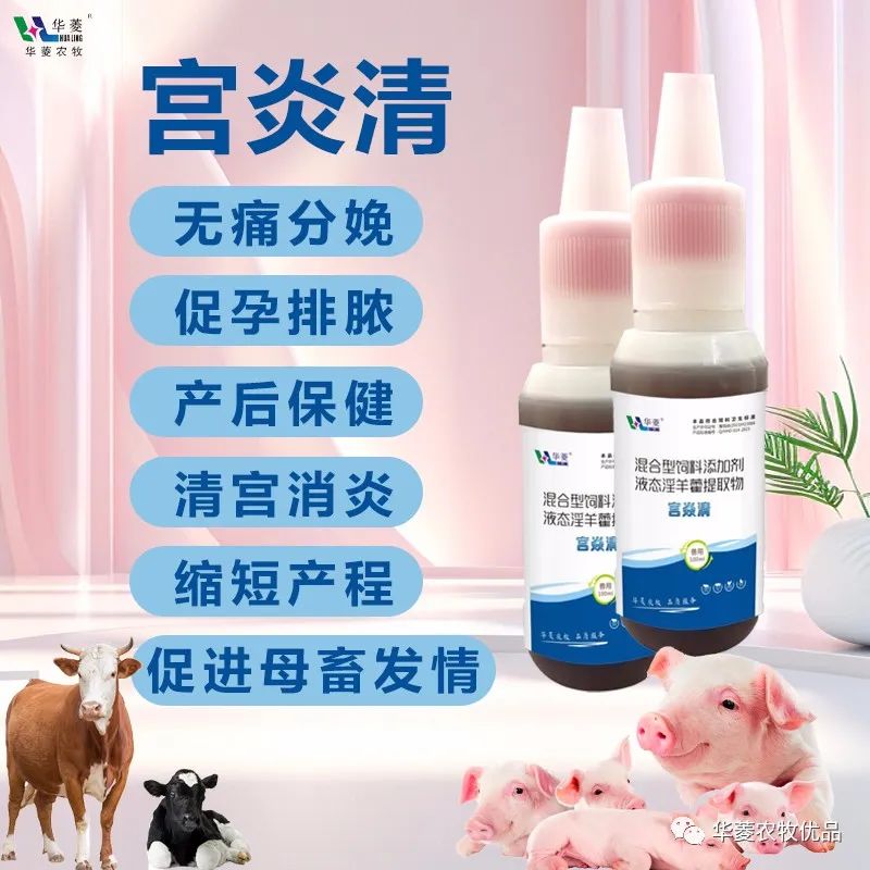 微信圖片_20231204155924.jpg 微信圖片_20231204155924.jpg