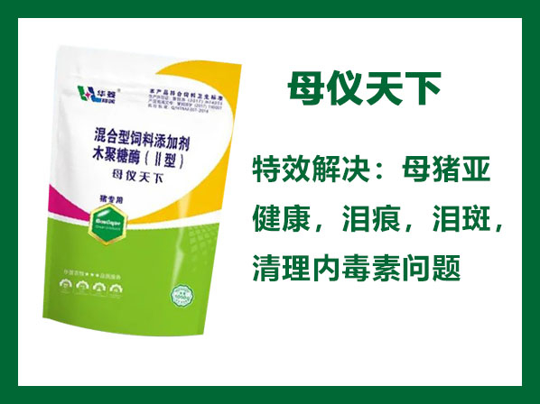 母儀天下---專(zhuān)業(yè)解決母豬亞健康問(wèn)題