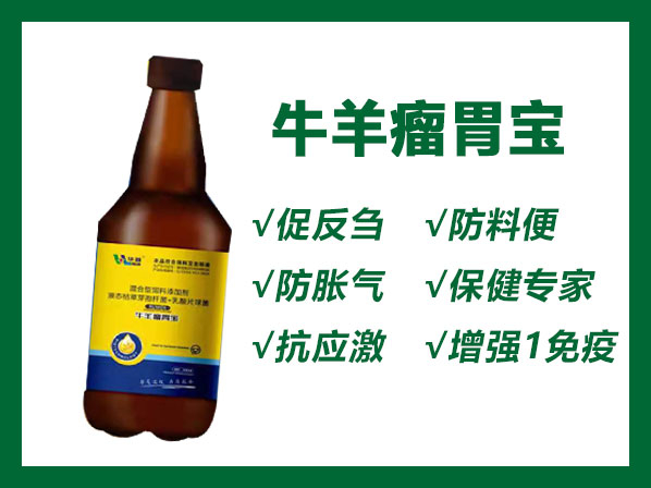 牛羊瘤胃寶——牛羊保健專(zhuān)家，能夠調(diào)理腸道、促反芻、防脹氣、抗應(yīng)激、增強(qiáng)免疫、防料便