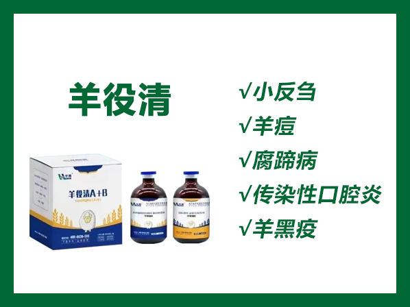 羊役清（A+B）---羊小反芻獸疫、傳染性口瘡、腸毒血癥、羔羊痢疾、羊快疫、羊黑疫、羊猝狙等的緊急預(yù)防和治療