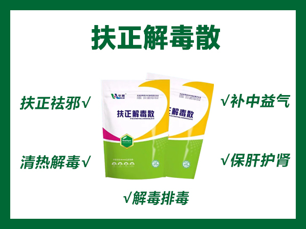 扶正解毒散——扶正祛邪、清熱解毒、補中益氣、保肝護腎、解毒排毒