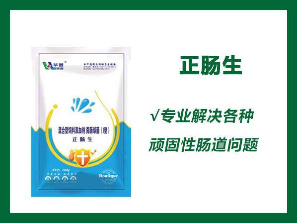 正腸生——保護腸道、解決腸炎、腹瀉、過料等各種腸道問題