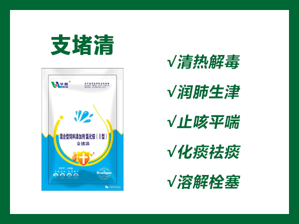 支堵清——支氣管堵塞特效產品、清除氣管堵塞，恢復呼吸道通暢