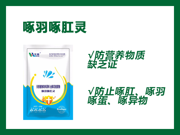啄羽啄肛靈--防營養(yǎng)物質缺乏癥，防止啄肛、啄羽、啄蛋、啄異物