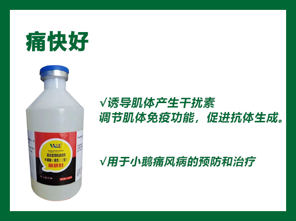 痛快好--用于小鵝痛風病的預防和治療