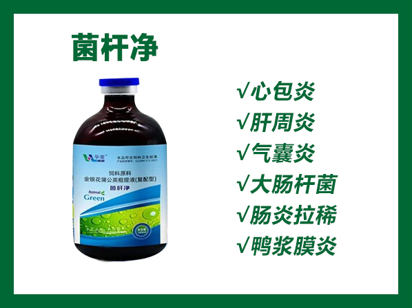 菌桿凈——大腸桿菌、桿周炎、心包炎，精選中藥、綠色無抗、療效確切