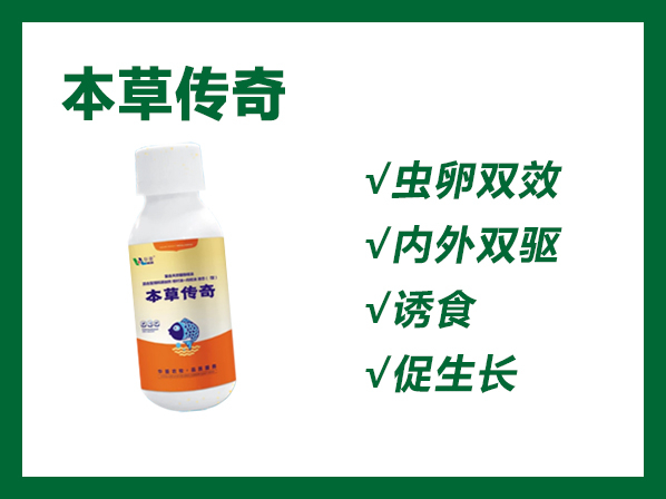 本草傳奇---小瓜蟲、輪蟲 、指環(huán)蟲、絳蟲、孢子蟲、車輪蟲