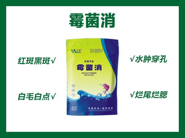 霉菌消---真菌、水霉病的天敵！
