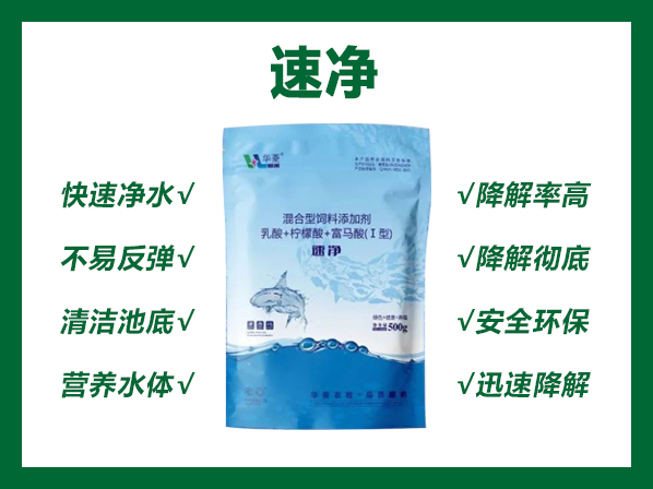 速凈---快速凈水 降解毒素 清潔池底