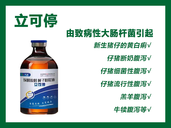 立可停---治療仔豬腹瀉、羔羊腹瀉、牛犢腹瀉，更快更強，立竿見影。