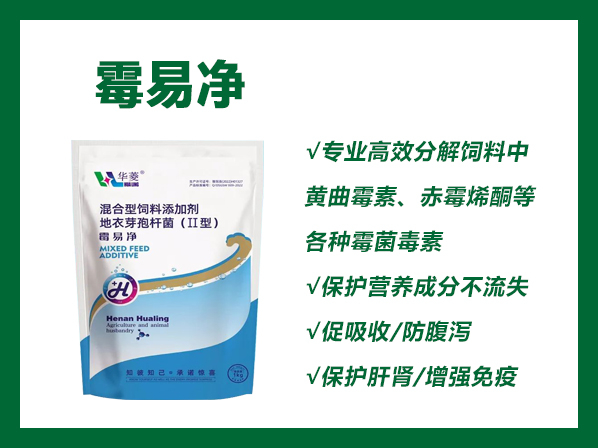 霉易凈 ---生物脫霉更徹底