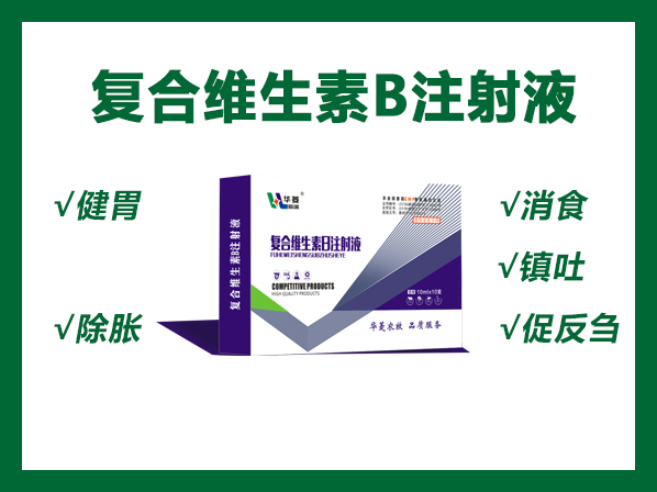 復(fù)合維生素B注射液---各種原因引起的厭食、食欲廢絕等癥