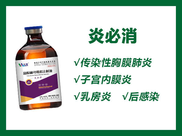 炎必消---產(chǎn)前產(chǎn)后感染；呼吸道綜合征；子宮炎、乳房炎