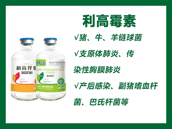 利高霉素---鹽酸大觀霉素鹽酸林可霉素