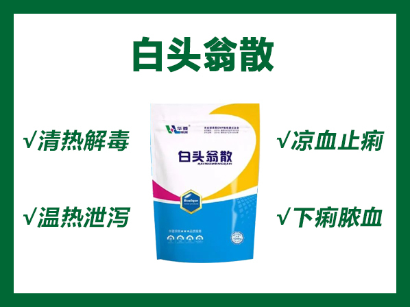 白頭翁散----清熱解毒、涼血止痢、溫?zé)嵝篂a、下痢膿血